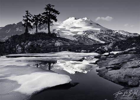 Printable Black And White Pictures Of Nature
